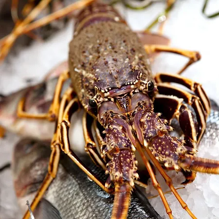 I Bastioni San Domenico - Boutique ガリポリ