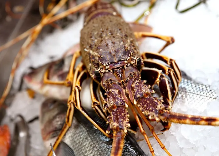 I Bastioni San Domenico - Boutique Gallipoli